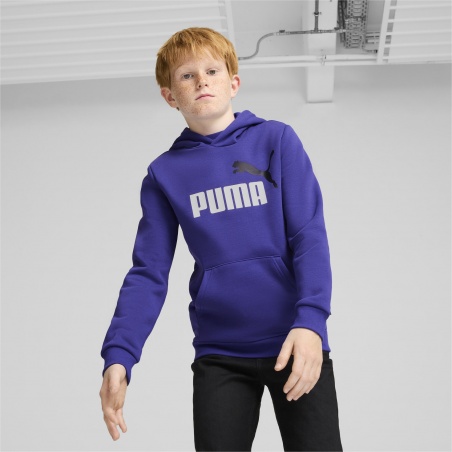 Sudadera Puma ESS+2 Col Big Logo Azul