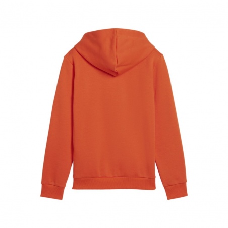 Sudadera Puma ESS+2 Col Big Logo Naranja