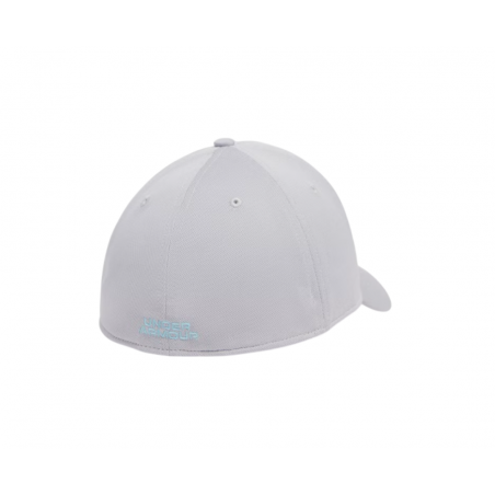 Gorra Under Armour Blitzing Gris