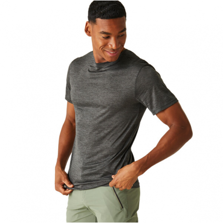 Camiseta Regatta Fingal Edition Gris