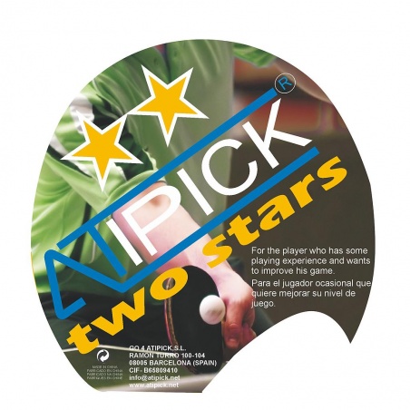 Pala Ping-Pong Iniciacion 2**