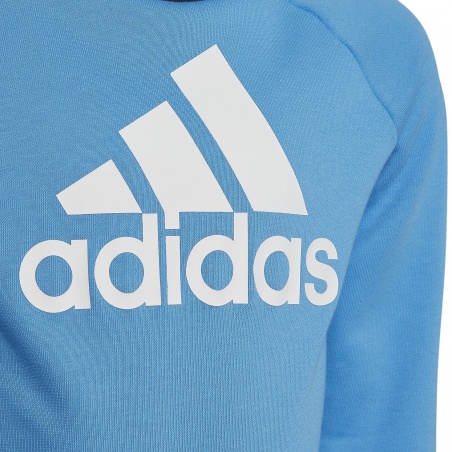 Chándal Adidas Sportwear Azul