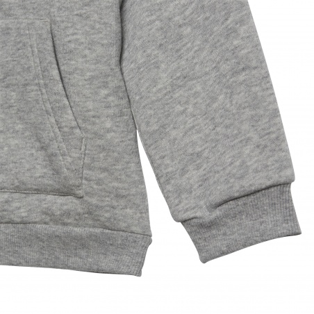 Chandal Adidas I Logo Fz Hd Fl Gris