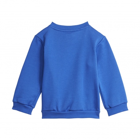 Chándal Adidas Badge Of Sports